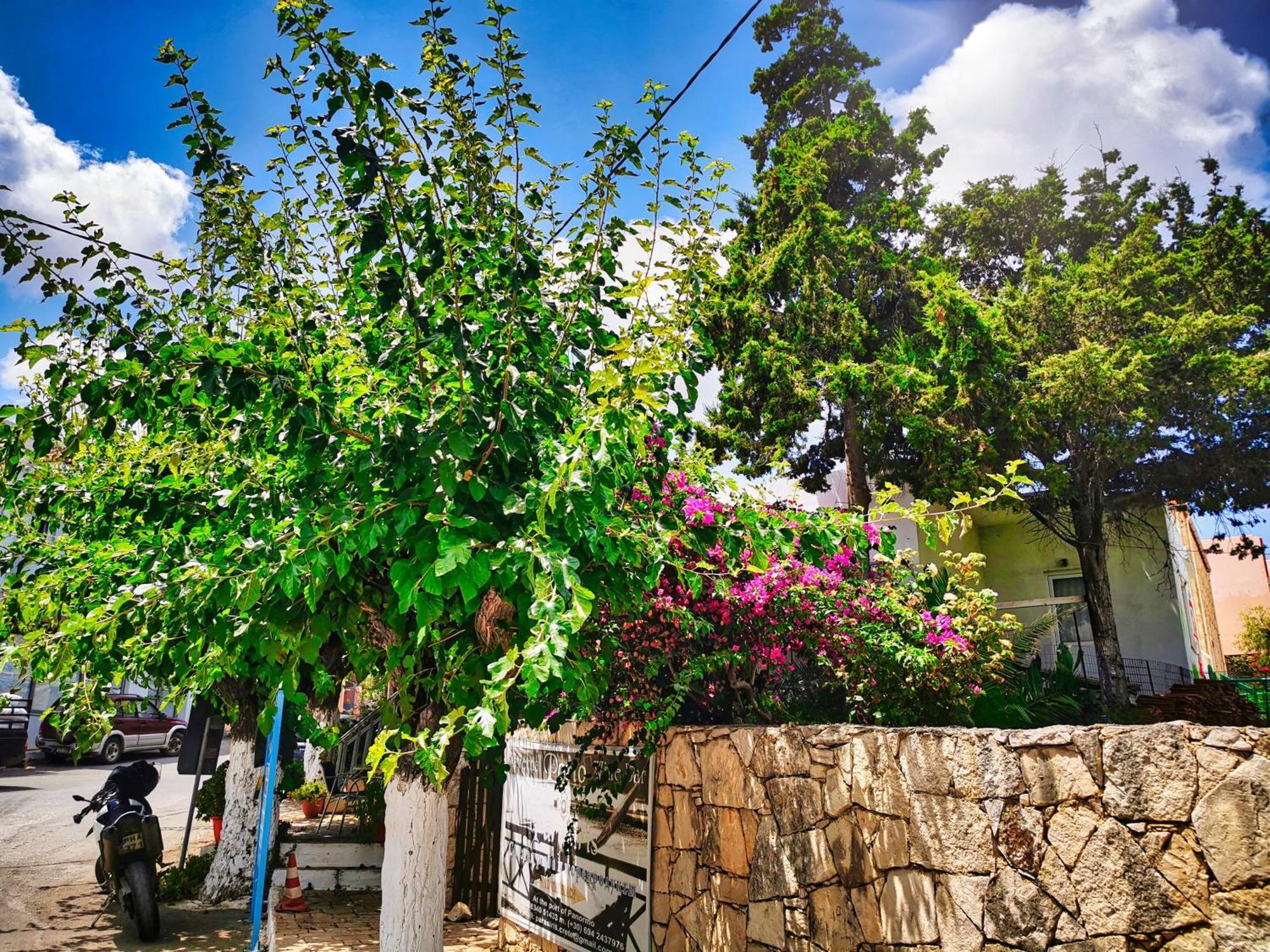 Ble Residence, Your Away From Apartment Panormos (Crete)